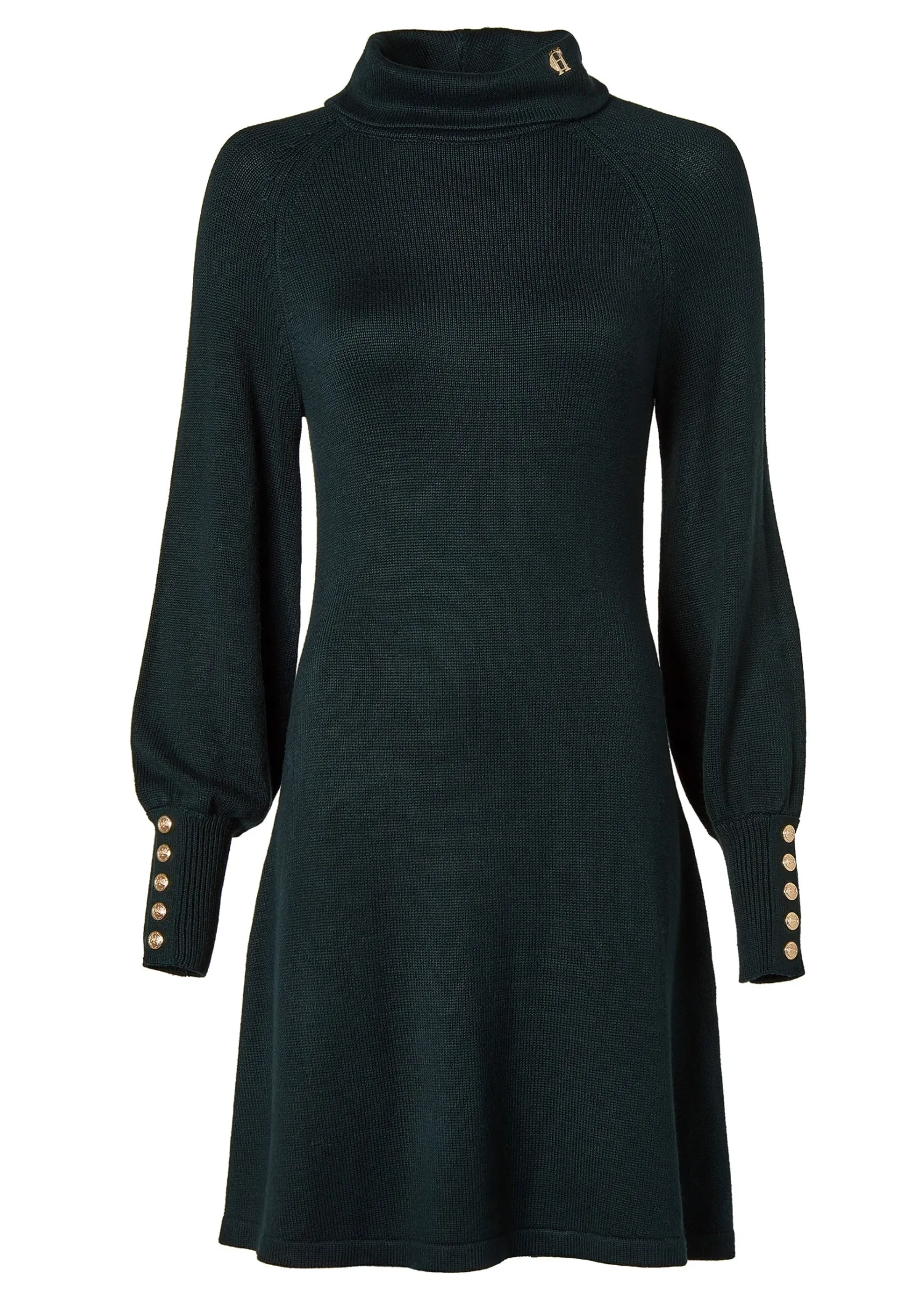New Chamonix Fit & Flare Dress (Deep Emerald) Women Dresses