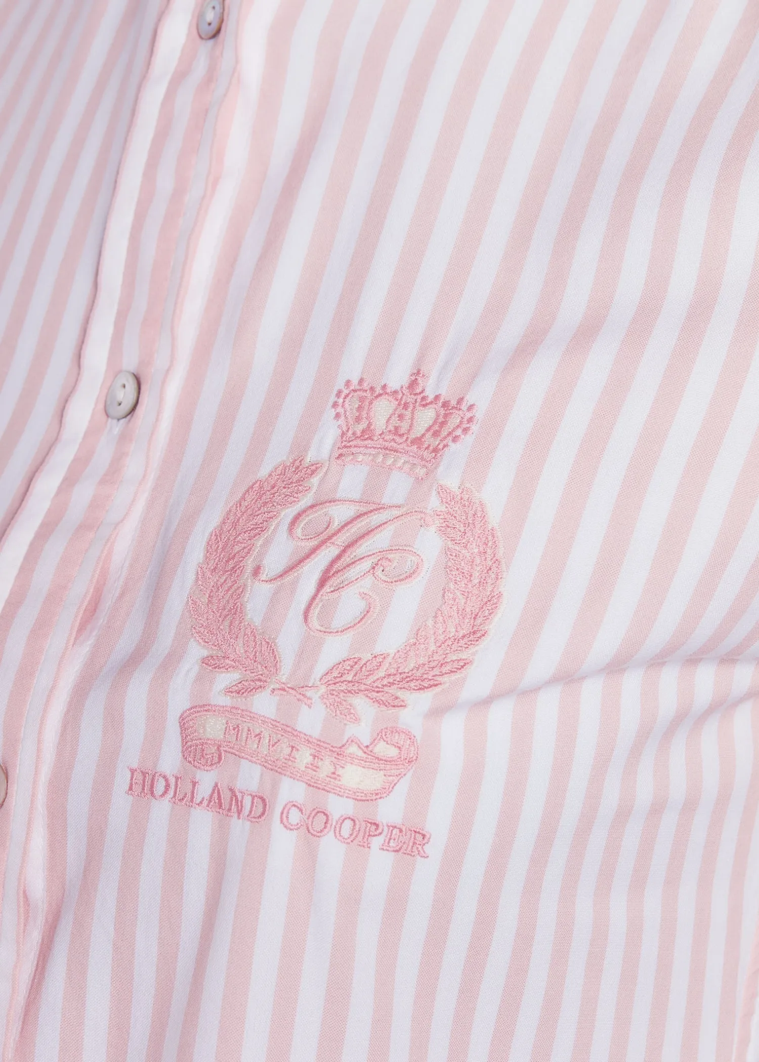 Best Classic Button Down Shirt (Pink Stripe) Women Shirts & Blouses